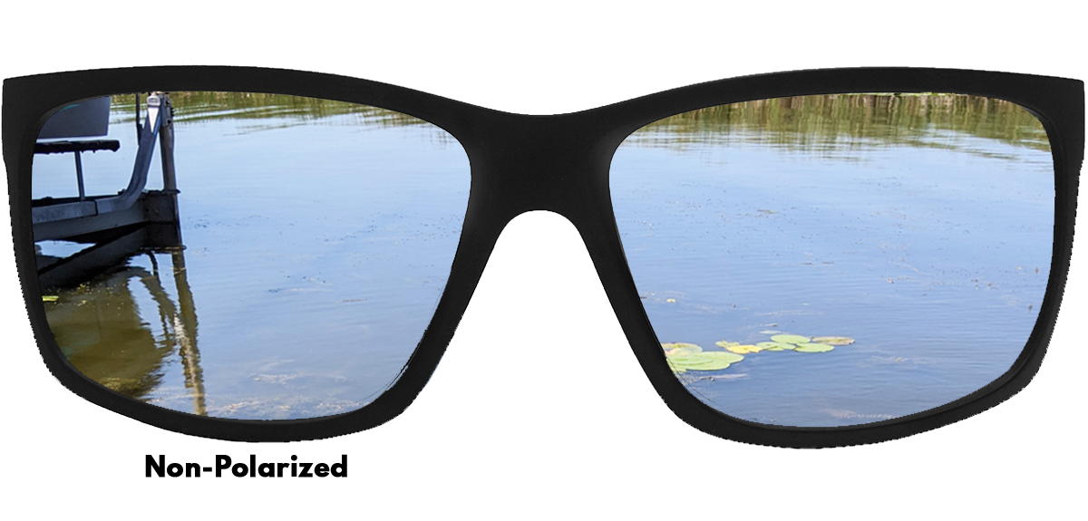 View through non-polarized glasses showing a dock and water with lily pads.