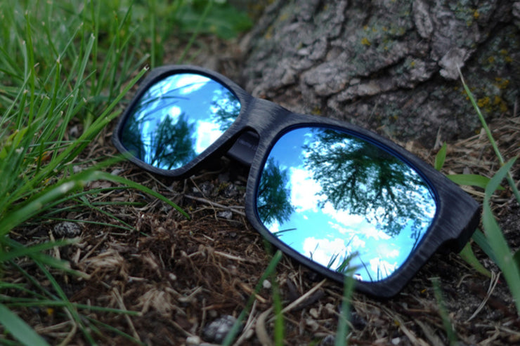 Big Kahuna XL - Driftwood - Sky Blue Polarized