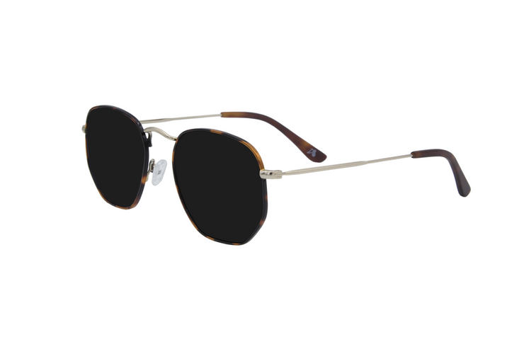 Tortoise Shell - Jet Black Polarized - Bermuda