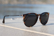 Hurricane - Hurricane - Tortoise Shell - Jet Black Polarized